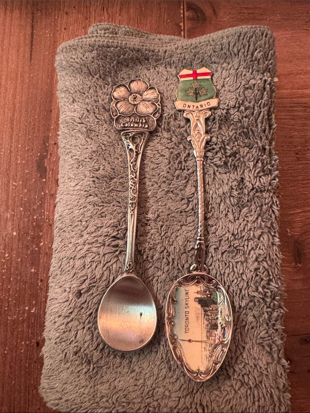 Set of 2 Silver-Colored Decorative Spoons Ontario & British Columbia